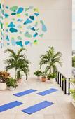 Туры в отель Arlo Wynwood Miami Туры в отель Arlo Wynwood Miami