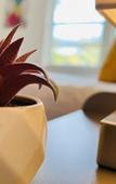 Туры в отель Coco Bay Condos Туры в отель Coco Bay Condos