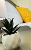 Туры в отель Coco Bay Condos Туры в отель Coco Bay Condos