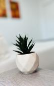 Туры в отель Coco Bay Condos Туры в отель Coco Bay Condos