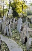 Туры в отель Pension Platan Туры в отель Pension Platan