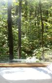 Туры в отель Postcard Cabins Eastern Catskills, Outdoor Collection by Marriott Bonvoy Туры в отель Postcard Cabins Eastern Catskills, Outdoor Collection by Marriott Bonvoy