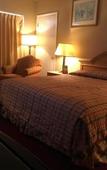 Туры в отель Executive Economy Lodge Туры в отель Executive Economy Lodge