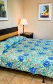 Туры в отель Executive Economy Lodge Туры в отель Executive Economy Lodge