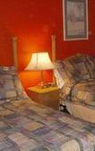 Туры в отель Executive Economy Lodge Туры в отель Executive Economy Lodge