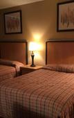 Туры в отель Executive Economy Lodge Туры в отель Executive Economy Lodge