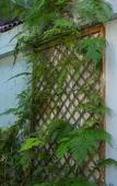 Туры в отель Green Coco Homestay Hoi An Туры в отель Green Coco Homestay Hoi An
