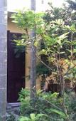 Туры в отель Ciel Homestay Туры в отель Ciel Homestay