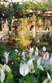 Туры в отель Ciel Homestay Туры в отель Ciel Homestay