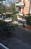 Туры в отель Hotel Thu Thao Туры в отель Hotel Thu Thao