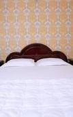 Туры в отель Thanh Lan Hotel Туры в отель Thanh Lan Hotel