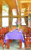 Туры в отель Ocean Cruise Туры в отель Ocean Cruise
