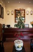 Туры в отель Spring Garden Villa Туры в отель Spring Garden Villa