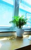 Туры в отель Chez Tram Homestay Туры в отель Chez Tram Homestay