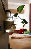 Туры в отель Chez Tram Homestay Туры в отель Chez Tram Homestay