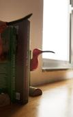 Туры в отель Chez Tram Homestay Туры в отель Chez Tram Homestay