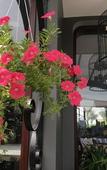 Туры в отель Sea'lavie Boutique Resort & Spa Туры в отель Sea'lavie Boutique Resort & Spa