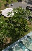 Туры в отель Sea'lavie Boutique Resort & Spa Туры в отель Sea'lavie Boutique Resort & Spa