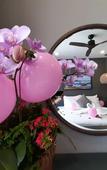 Туры в отель Sea'lavie Boutique Resort & Spa Туры в отель Sea'lavie Boutique Resort & Spa