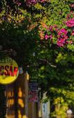 Туры в отель Bap Homestay Туры в отель Bap Homestay