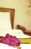 Туры в отель Ha Long Hotel Туры в отель Ha Long Hotel