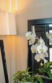 Туры в отель DANKBAAR RESORT Туры в отель DANKBAAR RESORT