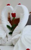 Туры в отель Thanh Van Hotel Туры в отель Thanh Van Hotel
