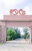 Туры в отель KyCo Peninsula Quy Nhon Resort Туры в отель KyCo Peninsula Quy Nhon Resort