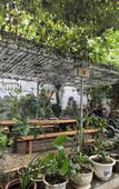 Туры в отель Duong Lam Village Туры в отель Duong Lam Village