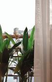Туры в отель Aizen Stay - District 1 Туры в отель Aizen Stay - District 1