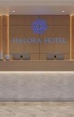 Туры в отель Halora Ten Lua Hotel Туры в отель Halora Ten Lua Hotel