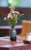 Туры в отель Hotel Chiem Hoian Туры в отель Hotel Chiem Hoian