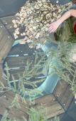 Туры в отель Шишкин афрейм Туры в отель Шишкин афрейм