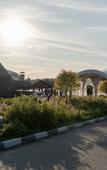 Туры в отель Форест Хиллс Гольф Резорт Туры в отель Форест Хиллс Гольф Резорт