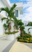 Туры в отель Tuong Vy Mini Bay Hotel Туры в отель Tuong Vy Mini Bay Hotel