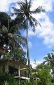 Туры в отель Phuttachot Resort Туры в отель Phuttachot Resort