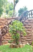 Туры в отель Sun Terra Phu Quoc Hotel Туры в отель Sun Terra Phu Quoc Hotel