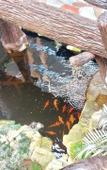 Туры в отель Sun Terra Phu Quoc Hotel Туры в отель Sun Terra Phu Quoc Hotel