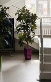 Туры в отель 6-12-24 Тюмень Туры в отель 6-12-24 Тюмень