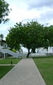 Туры в отель Pigeon Island Beach Resort Туры в отель Pigeon Island Beach Resort