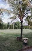 Туры в отель The Casa Uli Villas Jimbaran Туры в отель The Casa Uli Villas Jimbaran