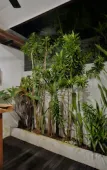 Туры в отель Ubud Lila Concept Туры в отель Ubud Lila Concept