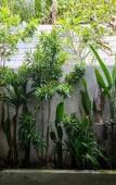 Туры в отель Ubud Lila Concept Туры в отель Ubud Lila Concept