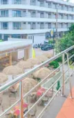 Туры в отель Smile Samui Chaweng Beach Front Resort Туры в отель Smile Samui Chaweng Beach Front Resort