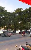 Туры в отель The Lodge Jomtien 9 Туры в отель The Lodge Jomtien 9