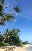 Туры в отель Bang Po Village Туры в отель Bang Po Village
