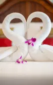 Туры в отель The Orchid House 153 Туры в отель The Orchid House 153