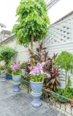 Туры в отель The Orchid House 153 Туры в отель The Orchid House 153