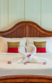 Туры в отель The Orchid House 153 Туры в отель The Orchid House 153