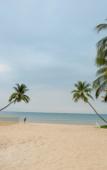 Туры в отель Paloma Phu Quoc Hotel Туры в отель Paloma Phu Quoc Hotel